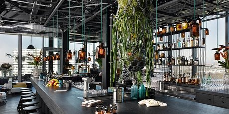 Monkey Bar