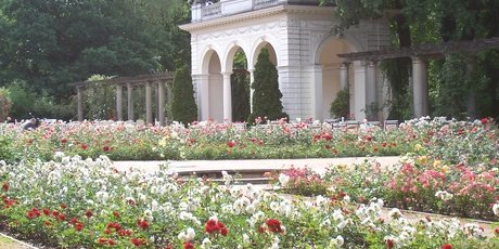 Bürgerpark in Pankow: Blumenbeet und Pavillon im Frühling