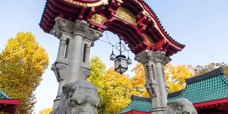 Berliner Attraktion Zoologischer Garten