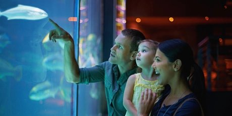 Familie im Aquarium in Berlin