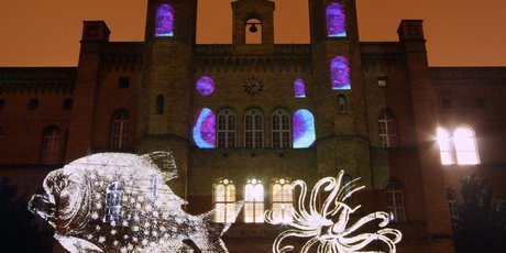 Festival of Lights