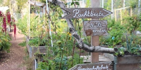 himmelbeet - nur noch bis Ende 2020 auf der Fläche Ruheplatzstraße / Ecke Schulstraße