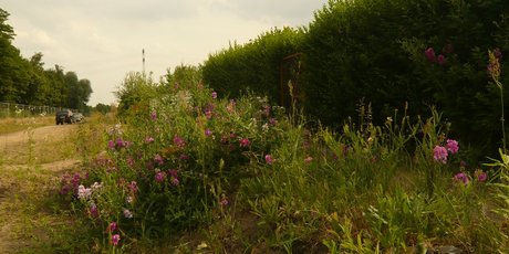 Landschaftspark Herzberge