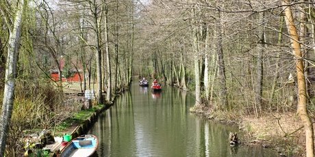 Kanal im Spreewald 