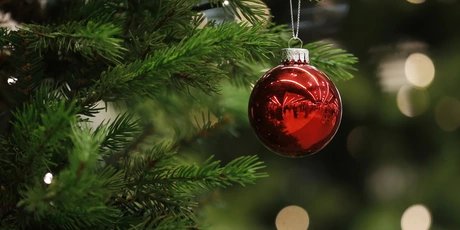 Christmas tree with ball