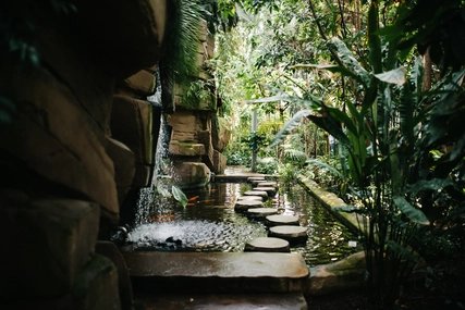 Botanischer Garten und Botanisches Museum Berlin-Dahlem