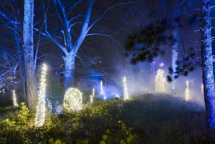 Christmas Garden 2021