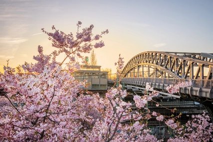 Frühling