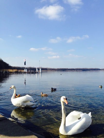 Müggelsee