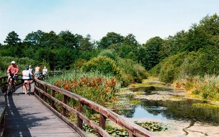 Tegeler Fliess in Berlin Reinickendorf