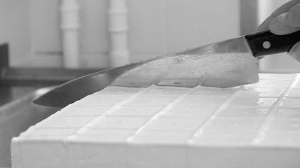 Der Tofu wird in kleinere Würfel geschnitten