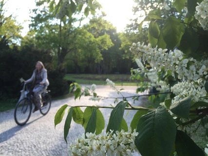unterwegs mit dem Fahrrad in Berlin