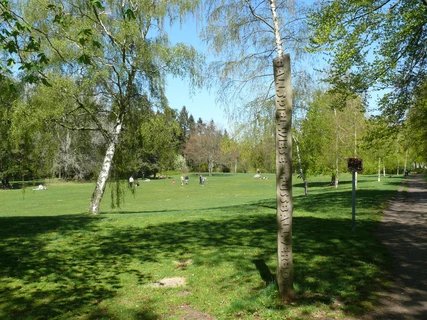 Ballspielwiese im Volkspark Rehberge 