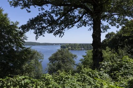 Die Berliner Pfaueninsel im Großen Wannsee.