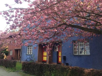Frühling in Berlin