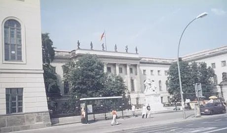 Bärentouren - Ärzteführung in Berlin