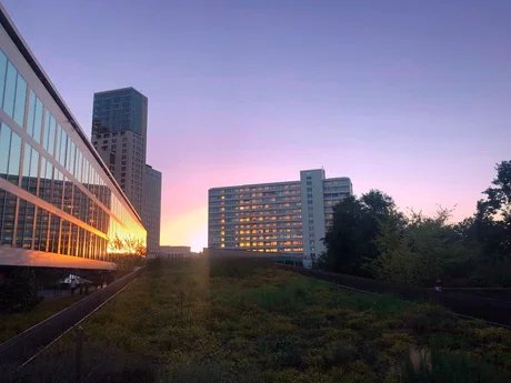 Abend auf der Bikini-Terrasse