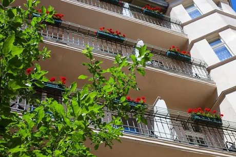 Ausblick Zimmer und Balkone