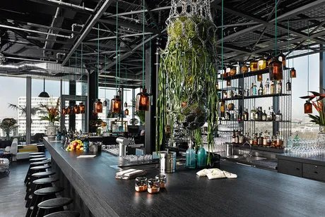 Monkey Bar