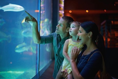 Familie im Aquarium in Berlin