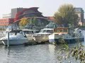 Kormoran Potsdam