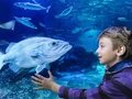 AquaDom und SEA LIFE - Attrakion in Berlin