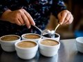 Zubereitung des Kaffees bei Flying Roasters