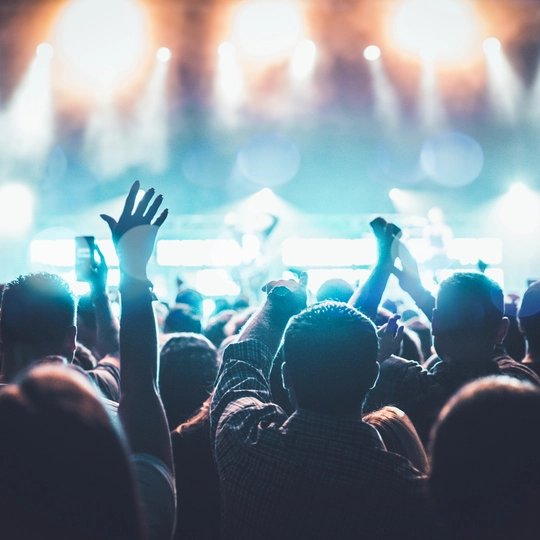 jubelnde Fans bei Rockkonzert