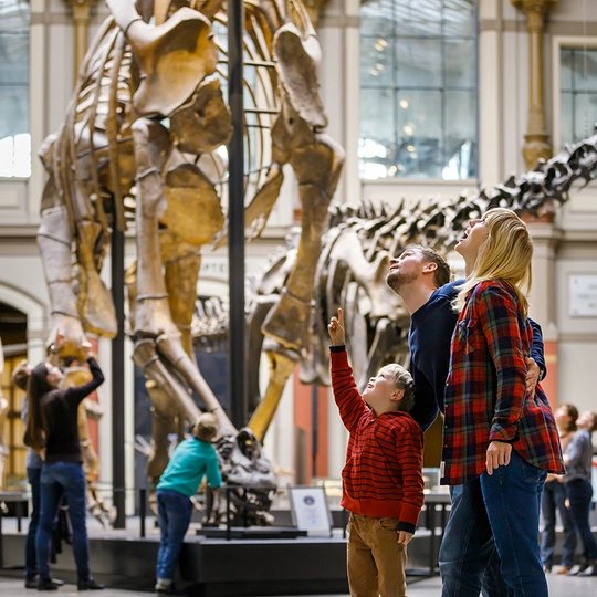 Familie im Museum für Naturkunde Berlin
