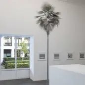 Ausstellungsansicht „Museum in Bewegung. Eine Sammlung für das 21. Jahrhundert“, abgebildet: David Zink Yi, Neusilber, 2009 und und Ricarda Roggan, Apokryphen, 2013-2019 © Staatliche Museen zu Berlin, Nationalgalerie / Jacopo La Forgia