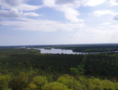 Aussicht über die Müggelberge vom Müggelturm