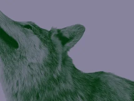 VISUAL „Natur und deutsche Geschichte”