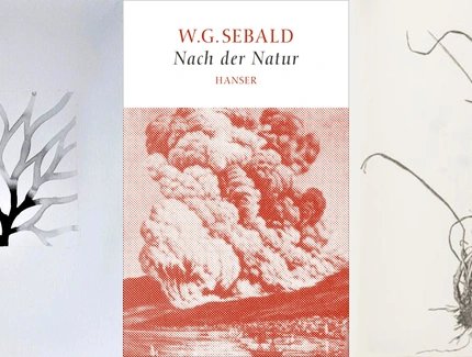 Details aus Christiane Löhr, Granai, 1999 und herman de vries, 16 dm2, 1979 © VG Bild-Kunst Bonn; W. G. Sebald, Nach der Natur, 2015