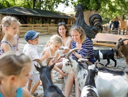 Streichelzoo im Zoo Berlin