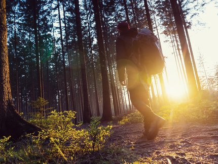 Wanderer in Berliner Wäldern