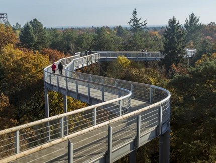 Baumkronenpfad in Beelitz-Heilstätten.