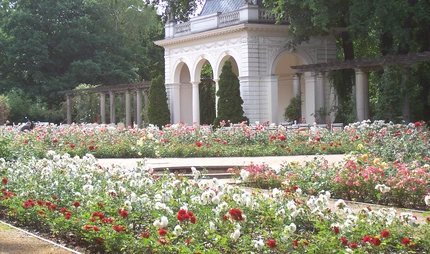 Bürgerpark in Pankow: Blumenbeet und Pavillon im Frühling Bürgerpark in Pankow: Blumenbeet und Pavillon im Frühling