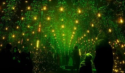 Winterlights