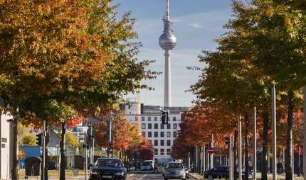Unter den den Linden mit Blick auf den Fernsehturm in Berlin