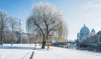 snowy park in central Berlin with tv-tower and cathedral in the background
