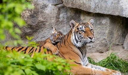 Tierpark Berlin